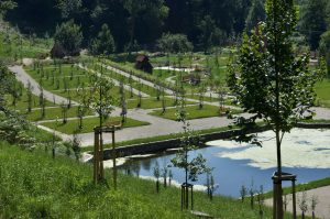 Pernštejn park10
