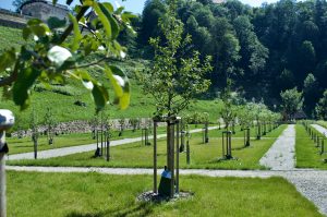 Pernštejn park5