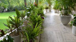 Villa Tugendhat v Brně 4