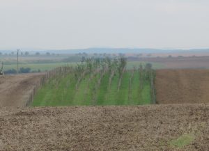 DSCN0398