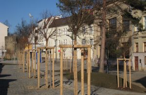 Park Gustava Mahlera v Jihlavě 8