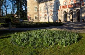 heralec_park.078