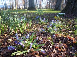 heralec_park.079