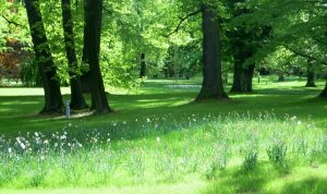 heralec_park.082