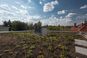 Bubenec_Villa_Atrium_TERRA_FLORIDA_Pata_Frydecky_foto_M_Micka_2018-11