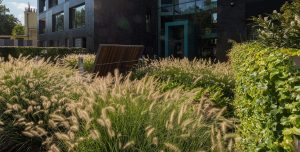 Bubenec_Villa_Atrium_TERRA_FLORIDA_Pata_Frydecky_foto_M_Micka_2018-8