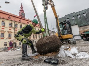 Sázení stromů na náměstí