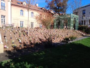 IMG_20221027_120519